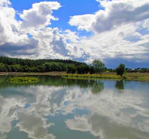 Things to do in County Laois, Ireland - Laois Angling Centre - YourDaysOut