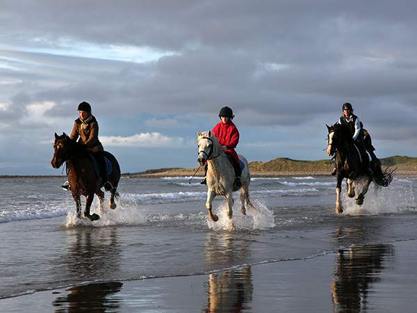 Island View Riding Stables - YourDaysOut