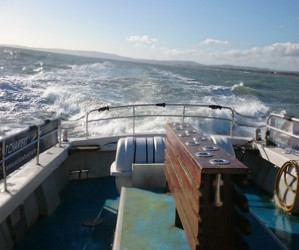Things to do in County Wicklow, Ireland - Wicklow Boat Charters - YourDaysOut