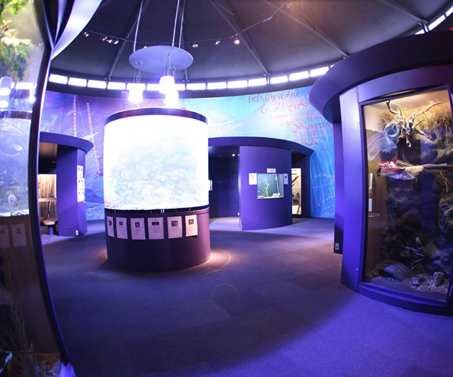 Riverwatch Aquarium & Visitor Centre - YourDaysOut
