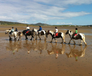 Things to do in County Donegal, Ireland - Carrigart Riding Stables - YourDaysOut