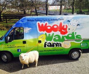 Things to do in County Dublin, Ireland - Wooly Farm - YourDaysOut