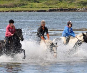 Things to do in County Mayo, Ireland - Carrowholly Stables - YourDaysOut