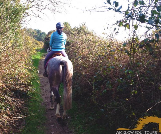 Things to do in County Wicklow, Ireland - Wicklow Equi Tours - YourDaysOut