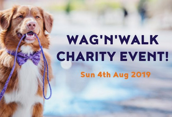 Things to do in County Dublin Dublin, Ireland - Wag 'N Walk Charity Event - YourDaysOut