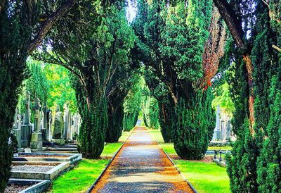 Things to do in County Dublin Dublin, Ireland - Mid Term Tales at Glasnevin Cemetery Museum - YourDaysOut