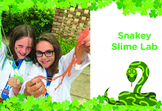 Things to do in County Wicklow, Ireland - Snakey Slime Lab - YourDaysOut