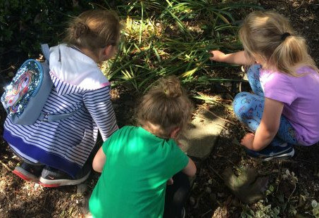 Things to do in County Dublin, Ireland - Biodiversity Explorers Workshop for Children - YourDaysOut