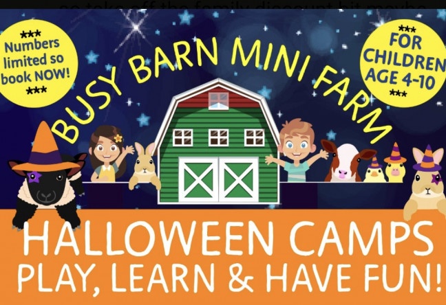 Things to do in County Waterford, Ireland - Busy Barn Mini Farm | Halloween Camps - YourDaysOut