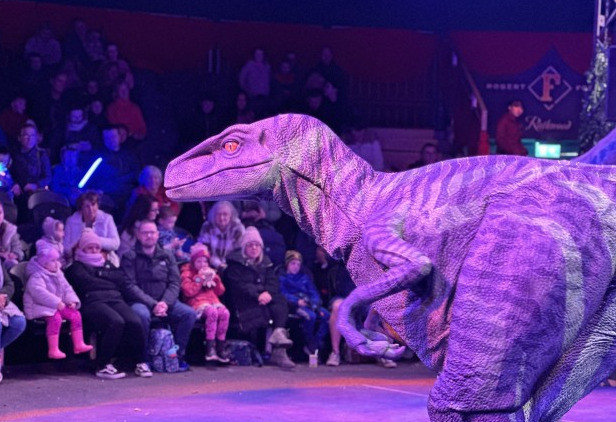 Things to do in County Cork, Ireland - Dinosaur Show Live - YourDaysOut
