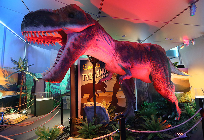 Things to do in County Dublin, Ireland - Dinosaurs Around the World - YourDaysOut