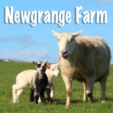 Newgrange Farm | Lambing Live | March 2023 logo