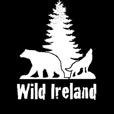 Wild Arctic Experience logo